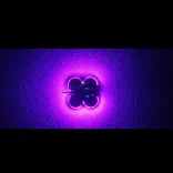 FlyWoo CineRace20 V2 DJI HD Vista 5